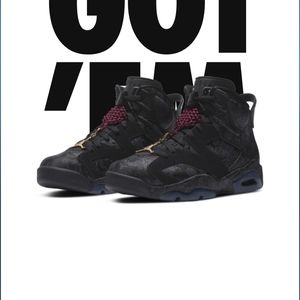 Jordan Retro 6 SD